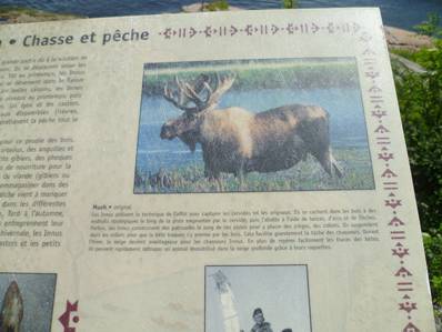 Faune canadienne