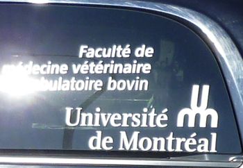 Faculté de médecine Vétérinaire Saint-Hyacinthe 
